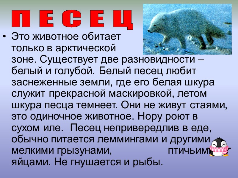 Это животное обитает           